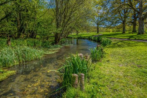 A clear, healthy river flowing through green parkland
